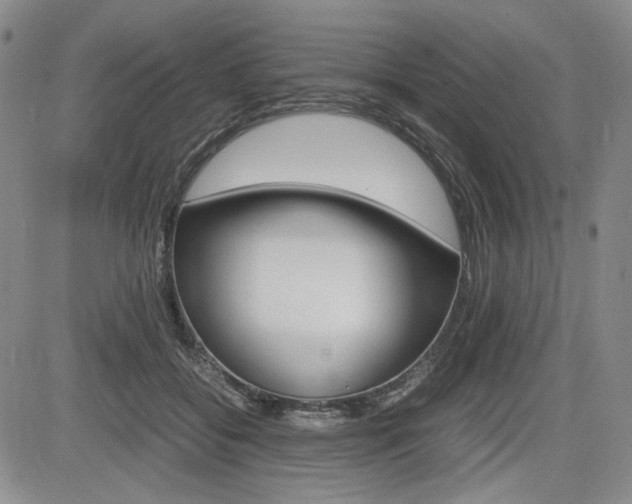 X0000085790556200703160936