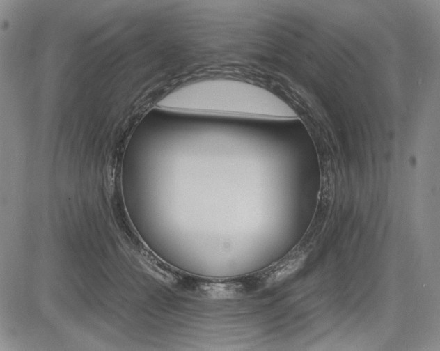 X0000085790558200703160936
