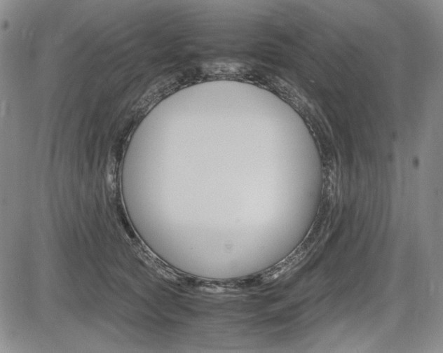 X0000085790561200703160936