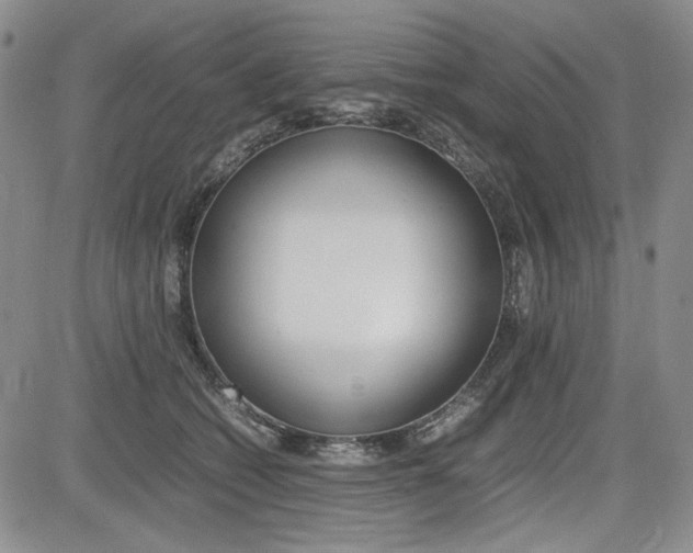 X0000085790562200703160936