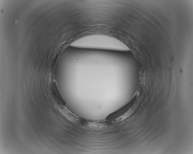 X0000085790568200703160937
