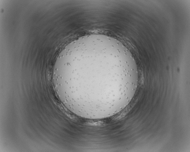 X0000085790569200703160937