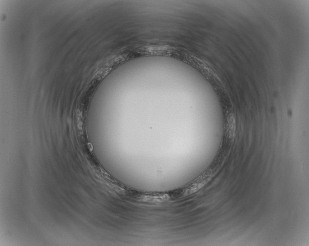 X0000085790571200703160937