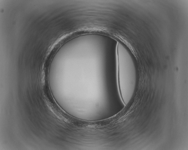 X0000085790584200703160936