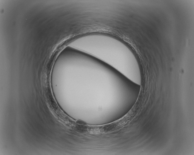 X0000085790587200703160936
