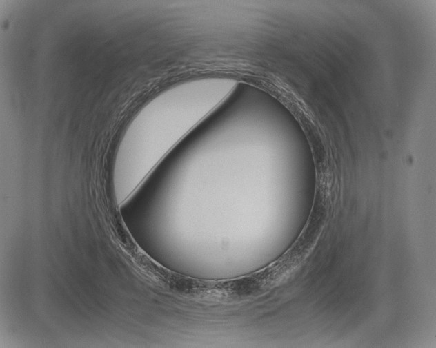 X0000085790593200703160936