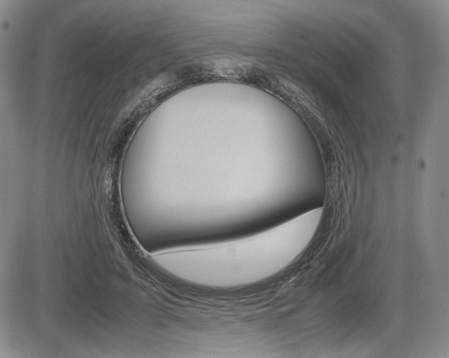 X0000085790595200703160936