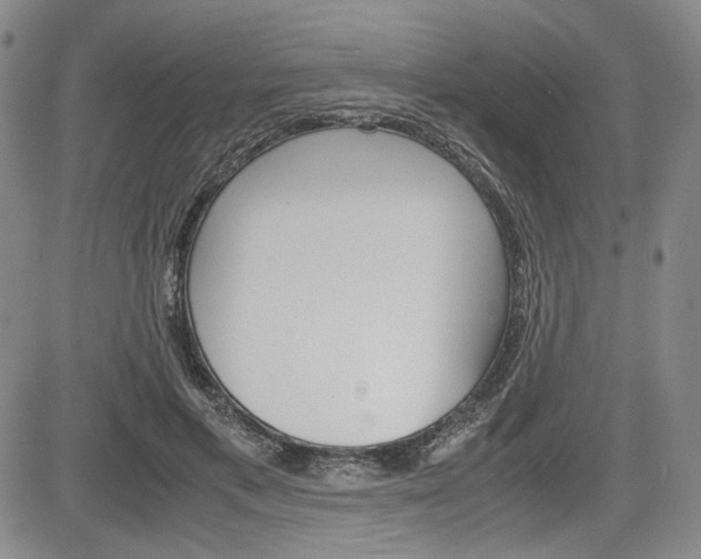 X0000085790597200703160936