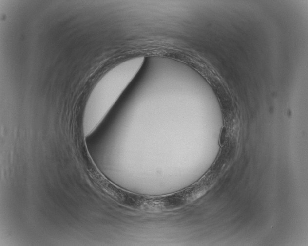 X0000085790599200703160936