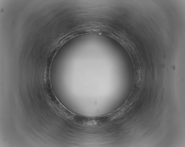 X0000085790600200703160936