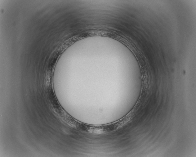 X0000085790602200703160935