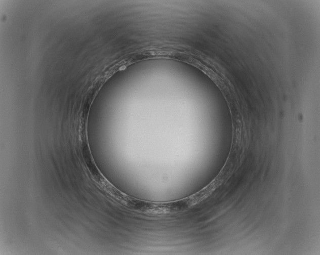 X0000085790604200703160935
