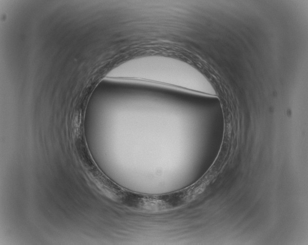 X0000085790605200703160935