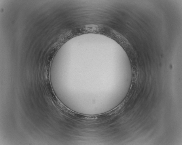 X0000085790606200703160935