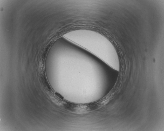 X0000085790609200703160935