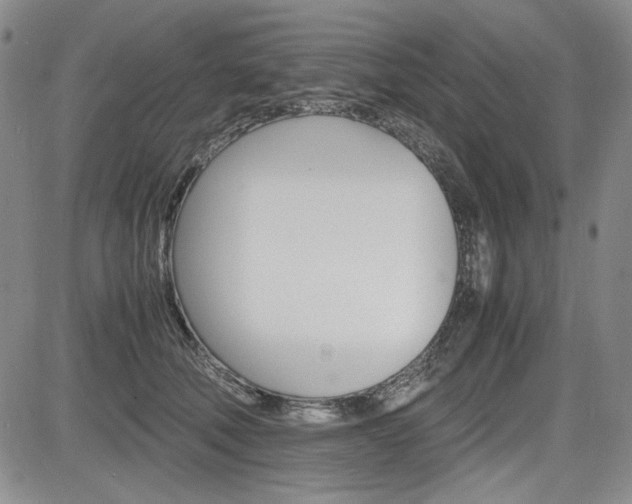 X0000085790610200703160935