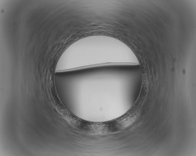 X0000085790615200703160935