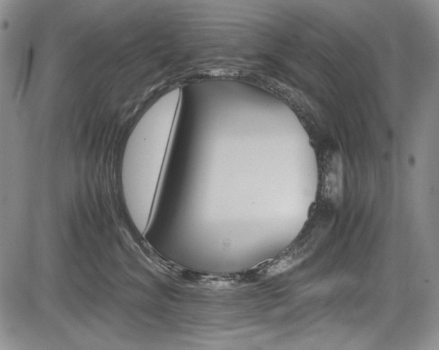 X0000085790620200703160935