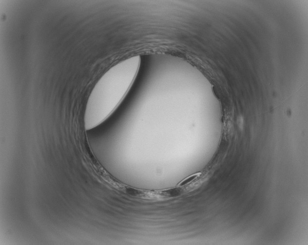 X0000085790623200703160935