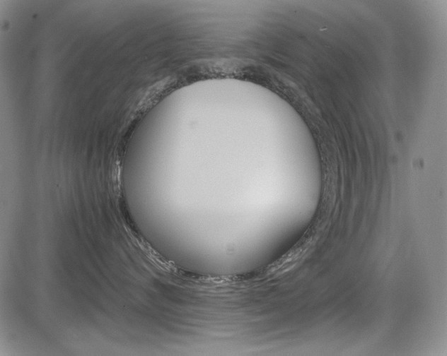 X0000085790624200703160935
