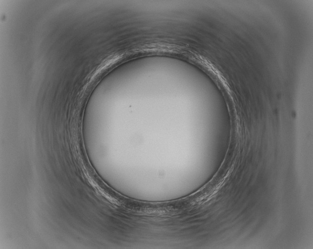 X0000085790625200703160934