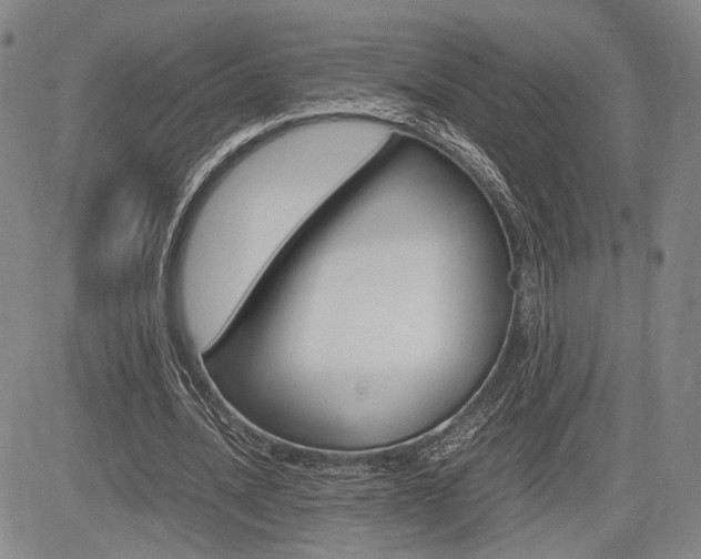 X0000085790628200703160934