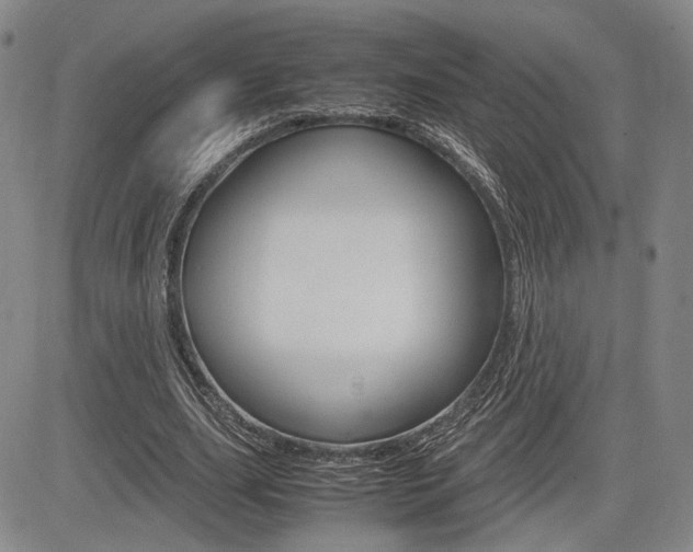 X0000085790631200703160934