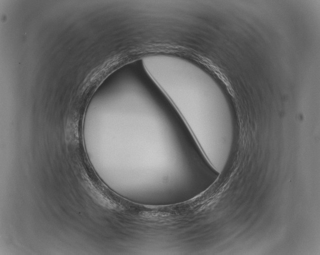 X0000085790633200703160934