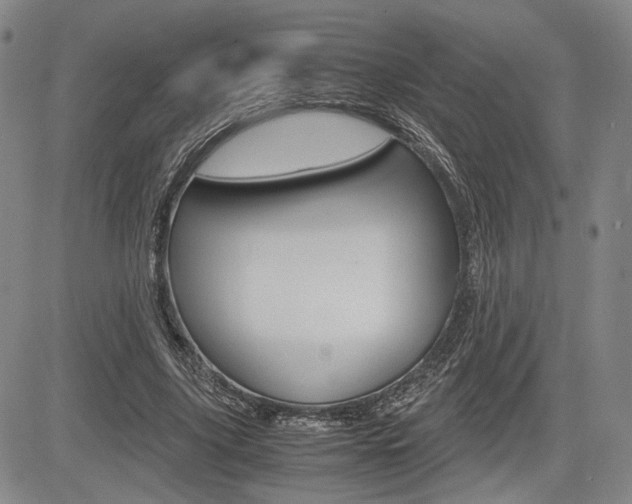 X0000085790635200703160934