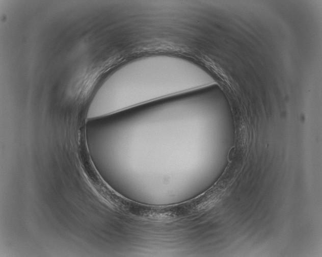 X0000085790638200703160935