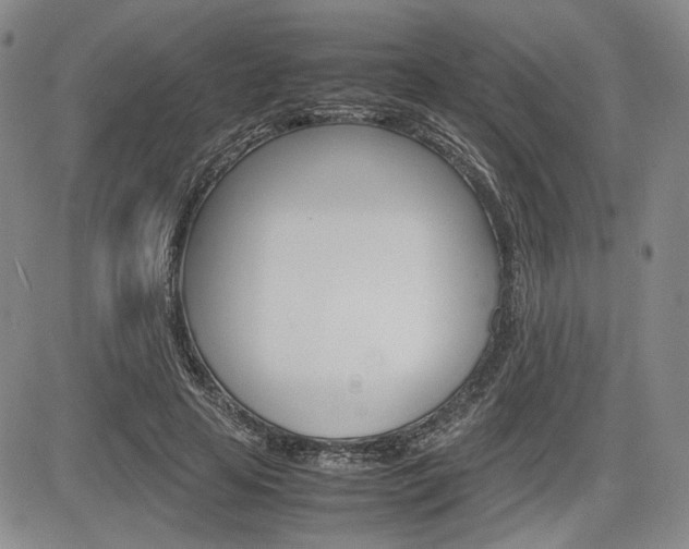 X0000085790641200703160935
