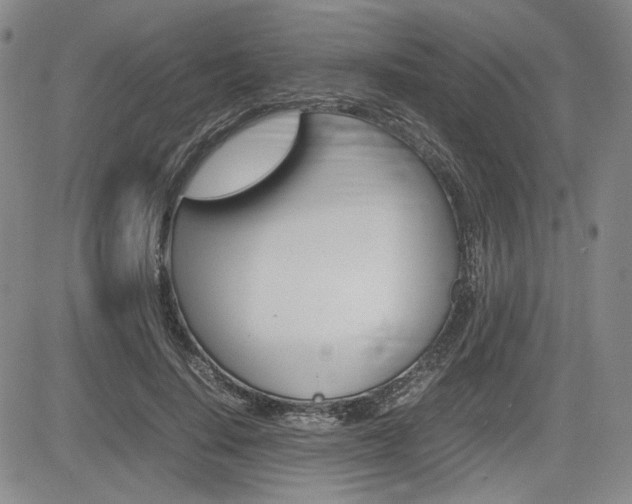 X0000085790644200703160935