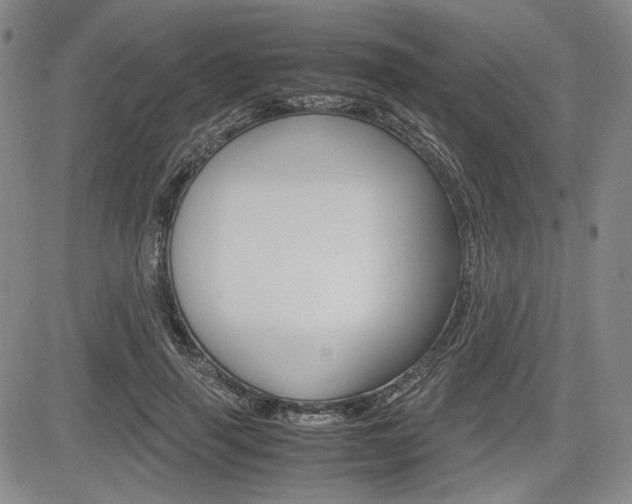 X0000085790645200703160935
