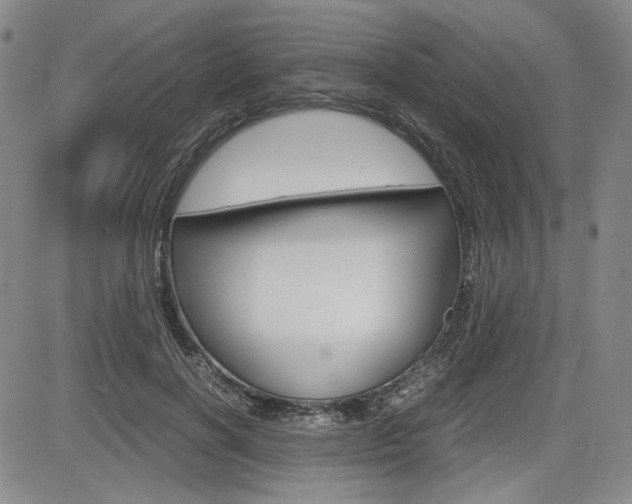 X0000085790646200703160935