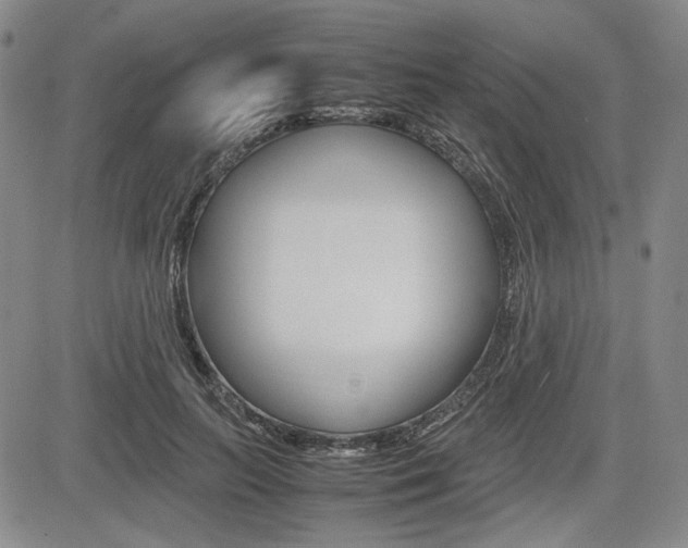 X0000085790647200703160935