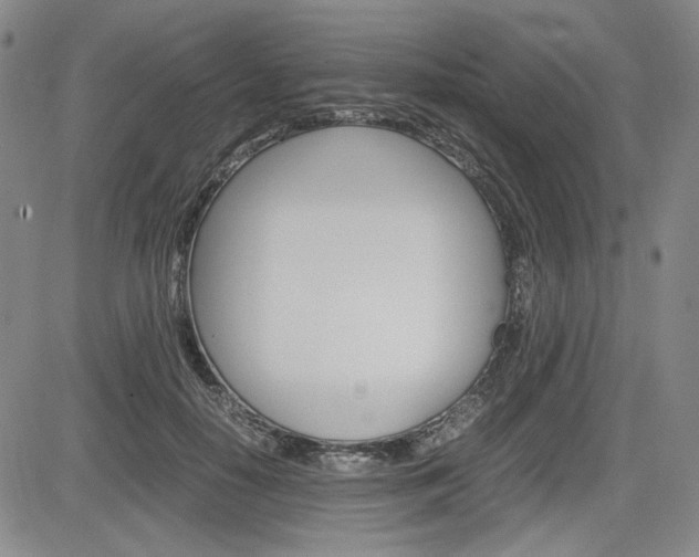 X0000085790650200703160935