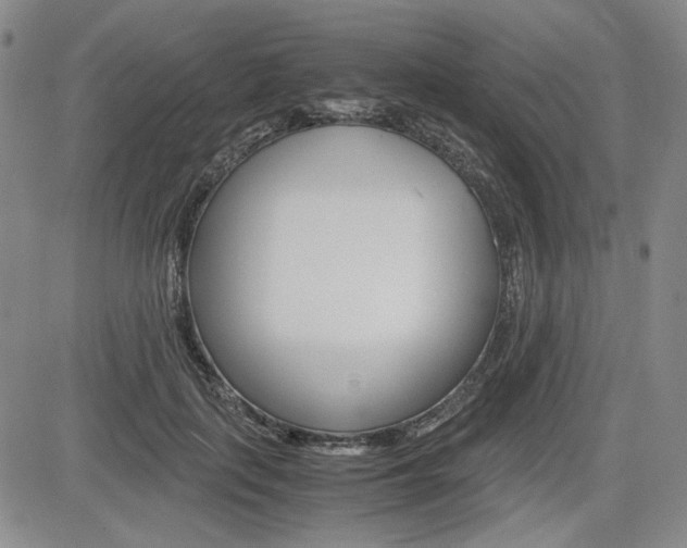 X0000085790651200703160935