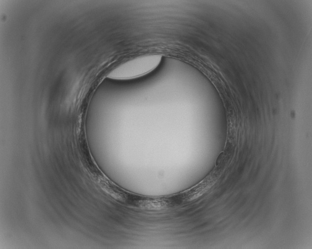 X0000085790652200703160935