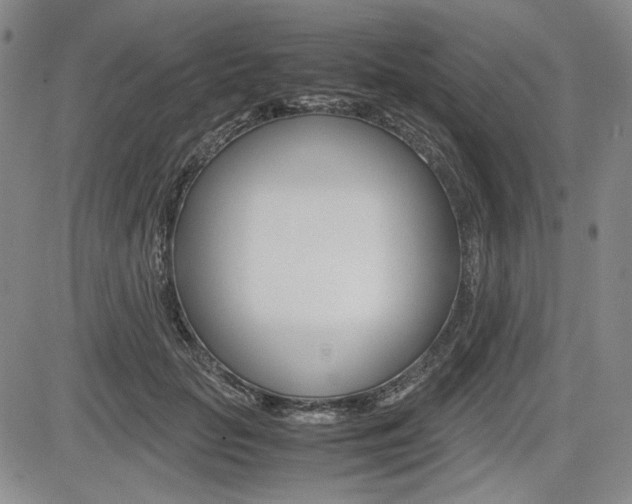 X0000085790653200703160935
