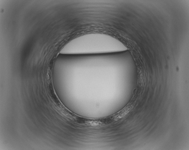 X0000085790654200703160935
