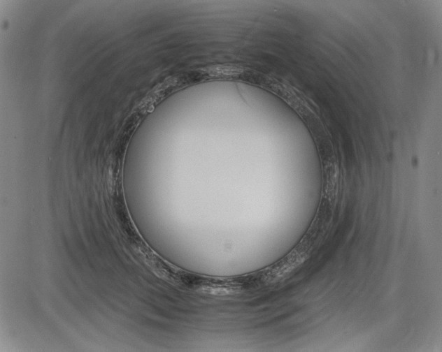 X0000085790655200703160935