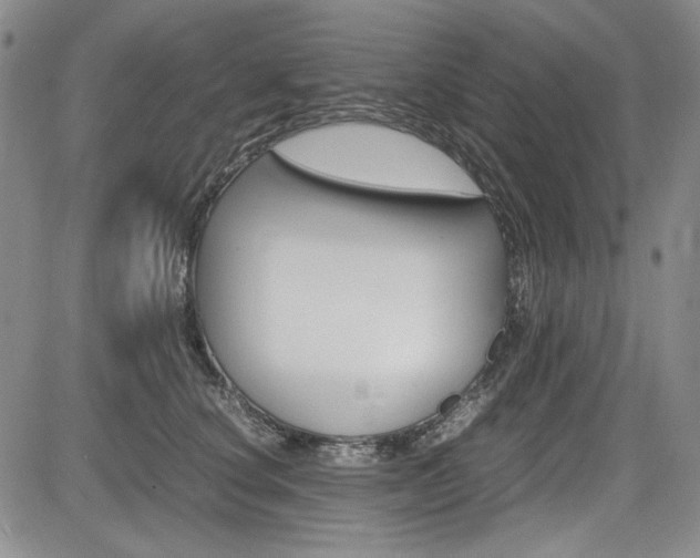X0000085790660200703160935