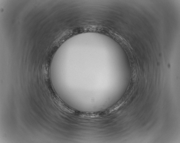 X0000085790661200703160935