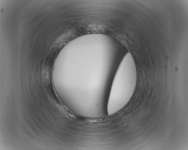 X0000085790662200703160935