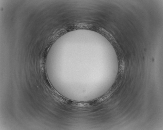 X0000085790663200703160935