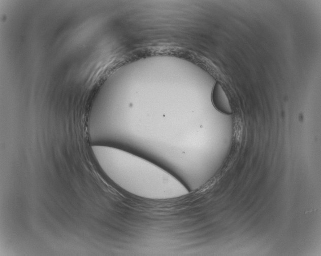 X0000085790670200703160935