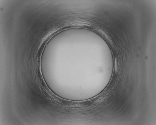 X0000085790675200703160934