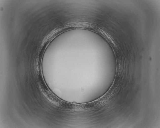 X0000085790682200703160934