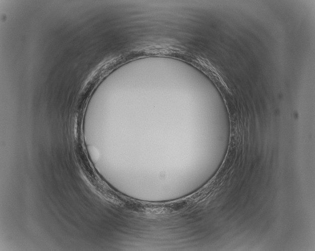 X0000085790686200703160934