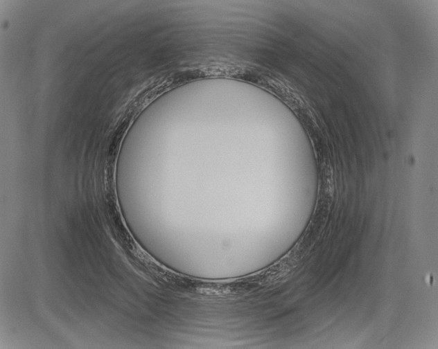 X0000085790690200703160934